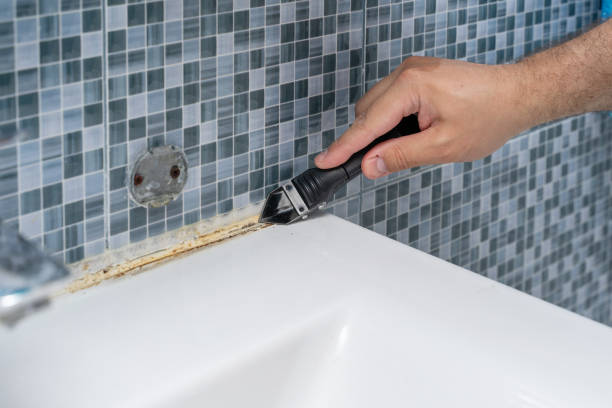 Best Emergency Mold Remediation in East Rochester, NY