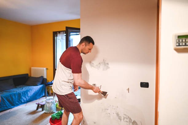 Best Attic Mold Remediation in East Rochester, NY